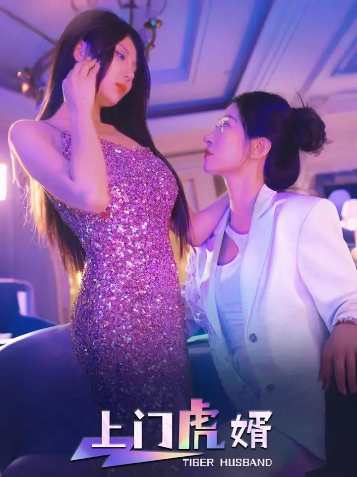 上门虎婿 海报