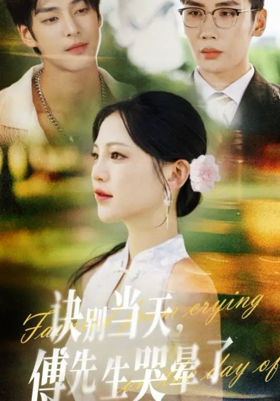 《诀别当天傅先生哭晕了》：一场啼笑皆非的爱恨纠葛，笑泪交织的浪漫喜剧新标杆！