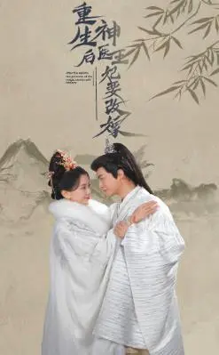 神医王妃浴火重生：前世恩怨今朝报，华丽转身拒渣男！